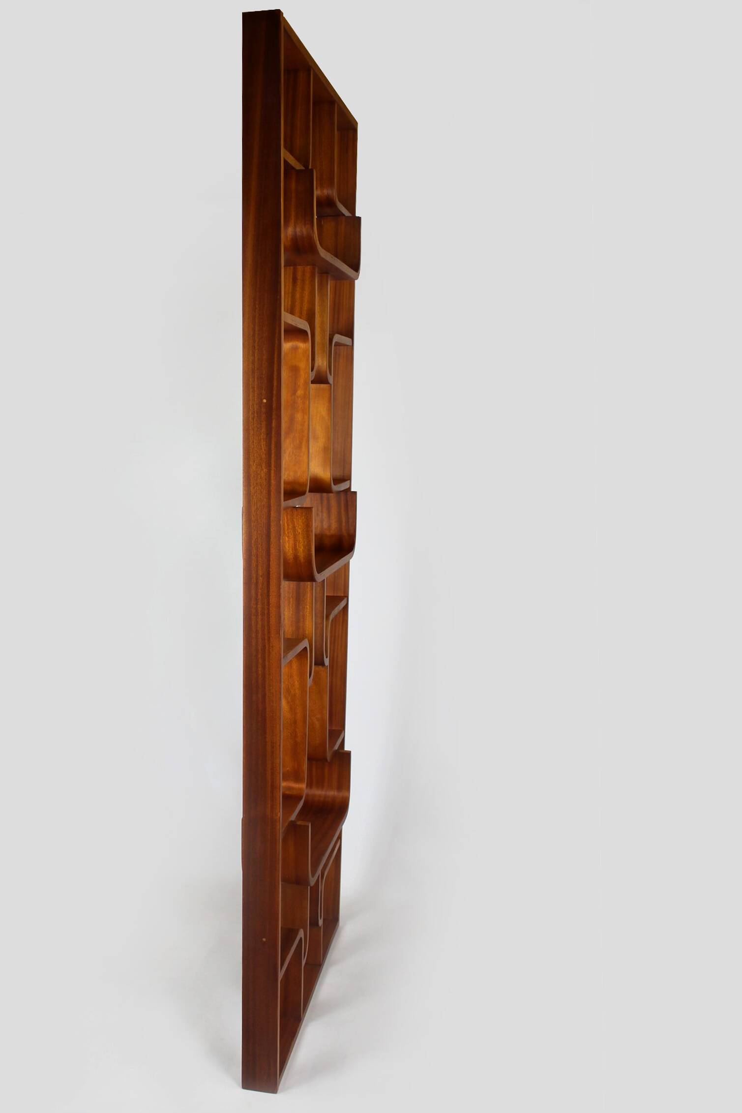 Restored Mid-Century Room Divider by L. Volak for Drevopodnik Holesov, 1960s