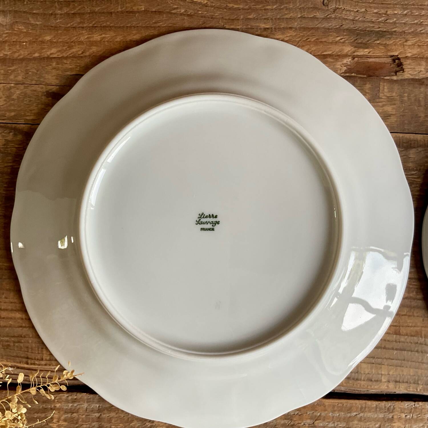4 Limoges porcelain cheese plates “Wild Lier”