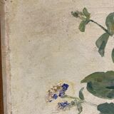 Old painting, still life with roses and oranges, signed circa 1950.