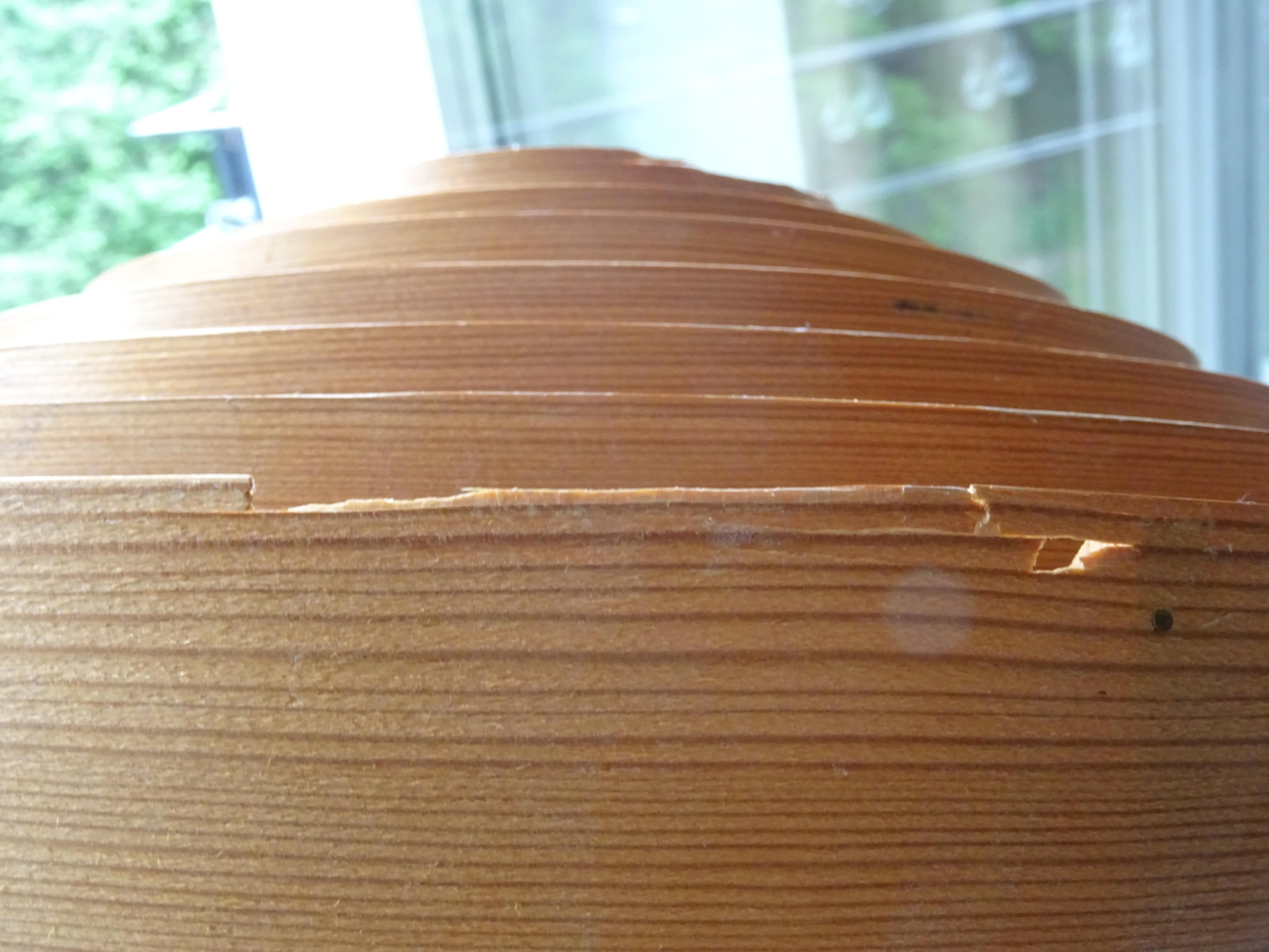 Ceiling lamp Hans Agne Jakbosson Elysett, 1960