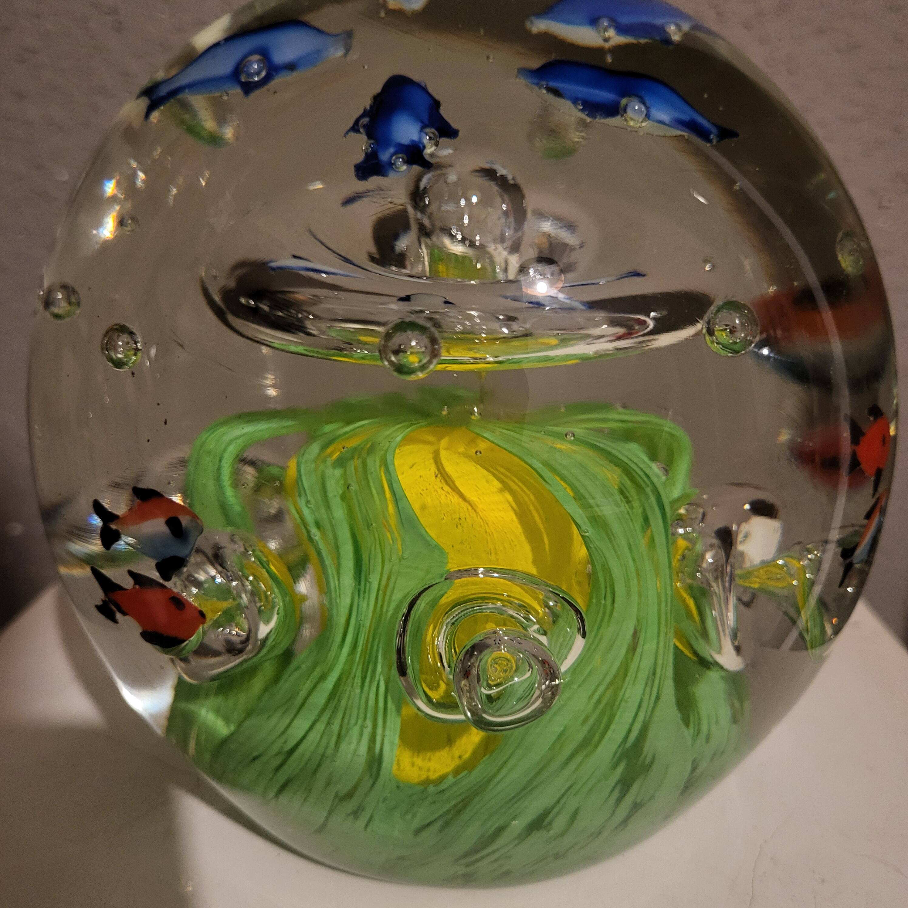 Sulfure aquarium xxl