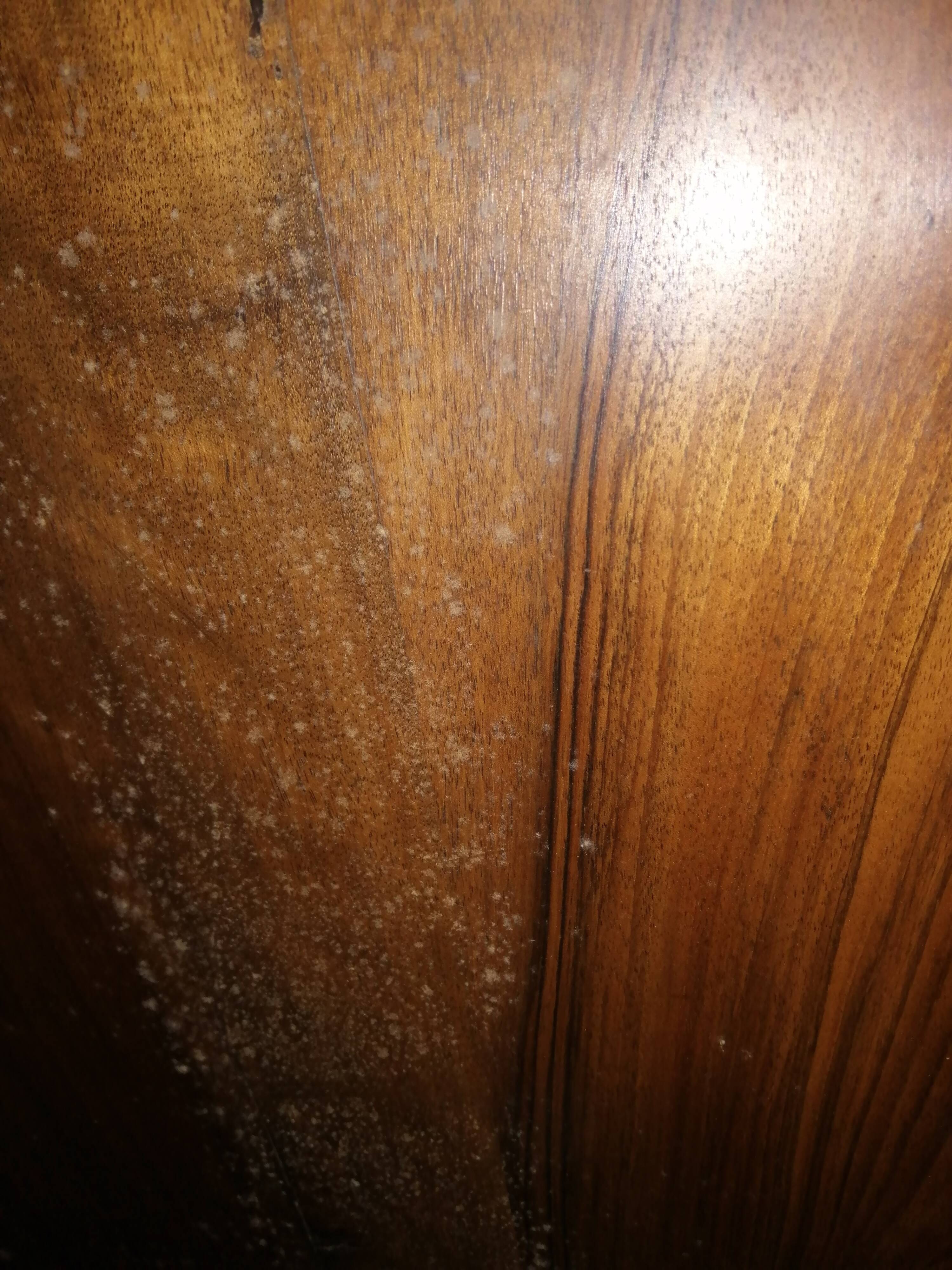 Petite Bibliothèque ou Etagère