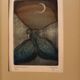 "tenderness of birds", original lithograph by Gilles Nicolas, framed, gilded wood.