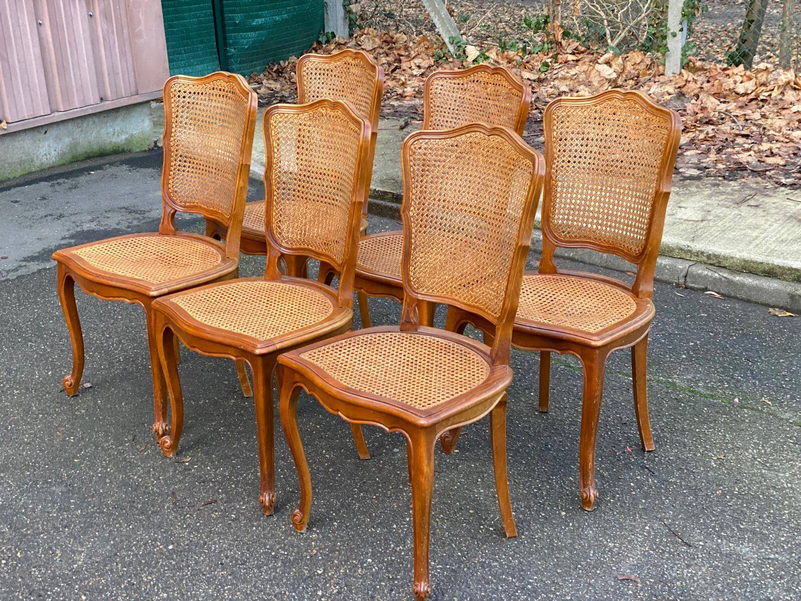 6 Louis XV cane chairs in solid wood from the 1950s