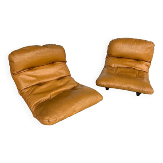 Pair of Marsala Armchairs by Michel Ducaroy for Ligne Roset 1971