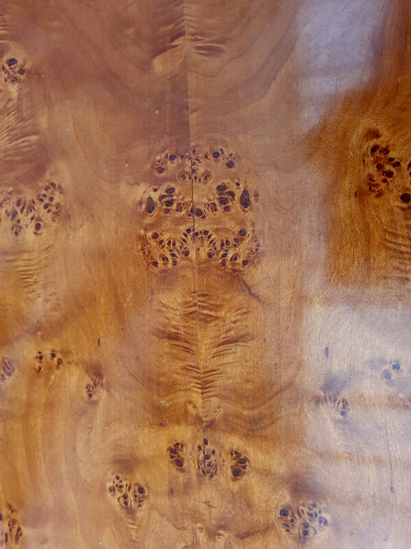 Table basse loupe d'orme