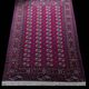 Turkmen Bukhara Oriental Rug: 2.70 X 1.65 Meters