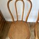Set of 4 cane chairs in bentwood and honey-coloured cane thonet early 20th century