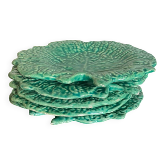 Cabbage plate