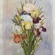 Tableau aquarelle naturaliste "Les Iris" signée B. Thierry 1995