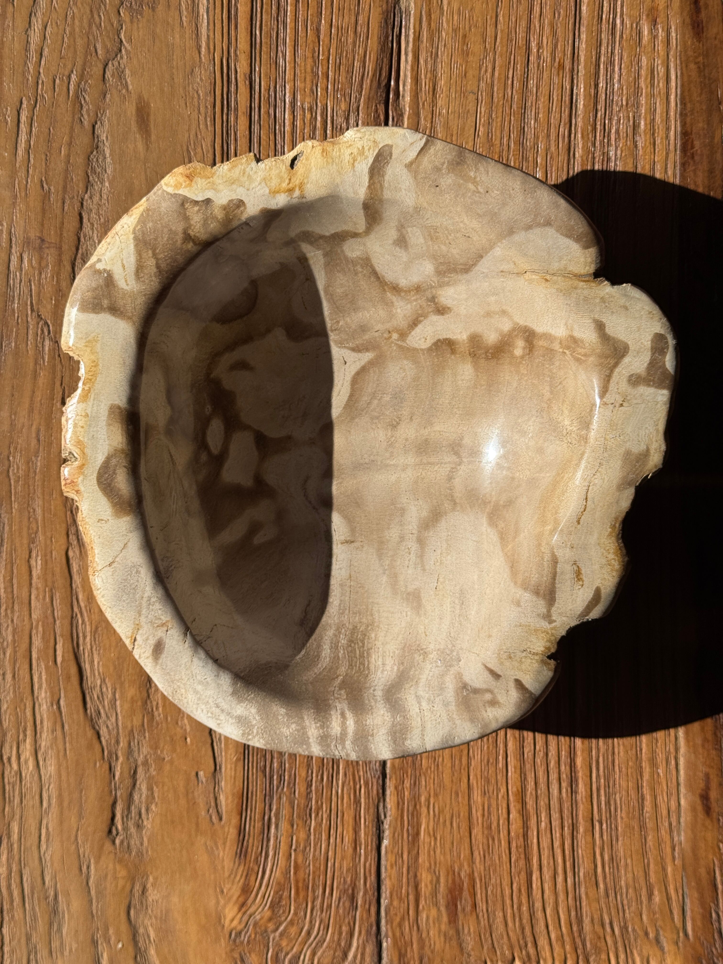 Round beige petrified wood bowl D21- 3780