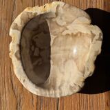 Round beige petrified wood bowl D21- 3780