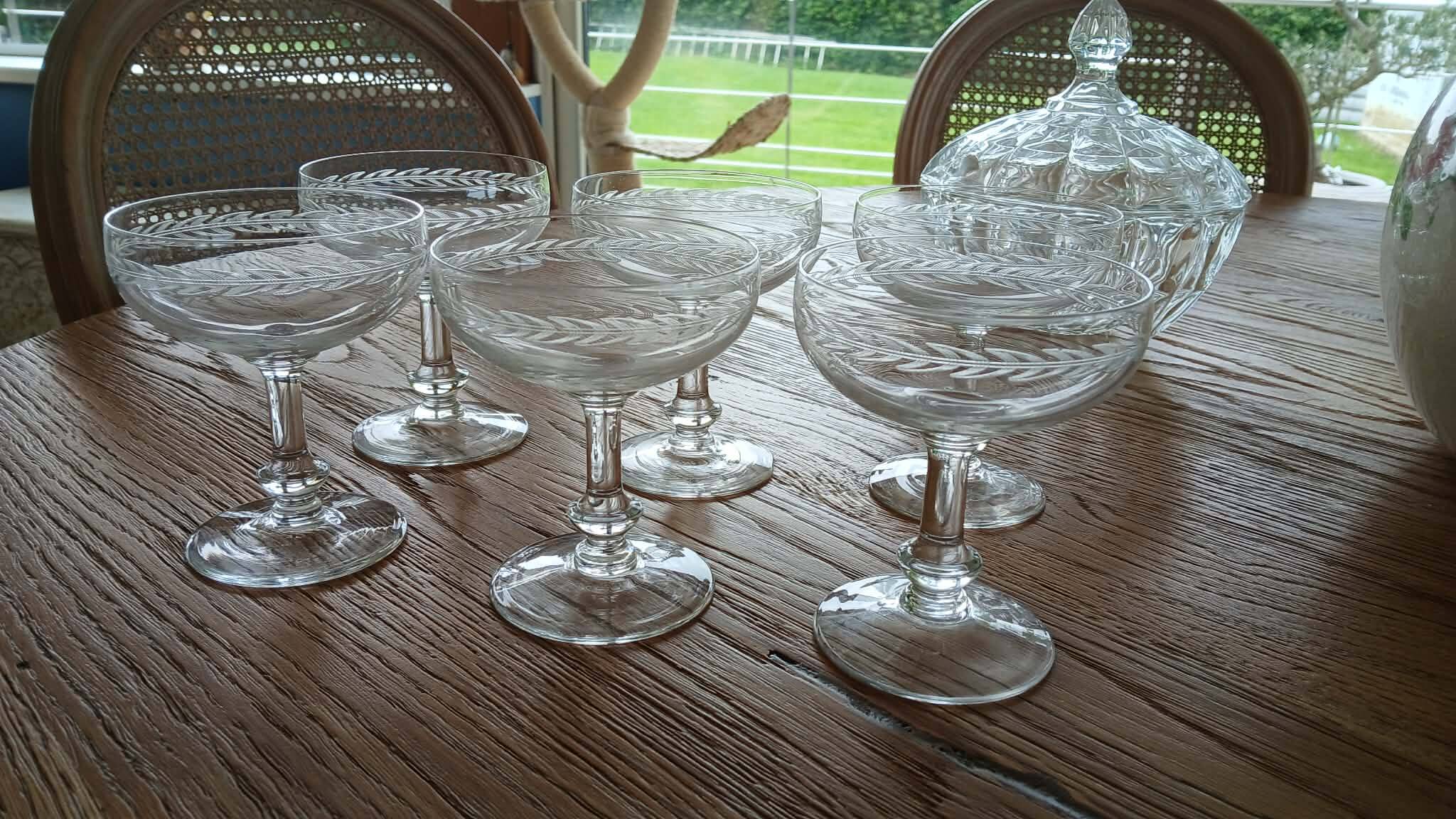 Service de 6 coupes à champagne vintage en verre gravé. Années 40/50's