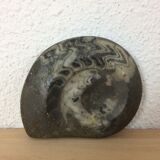 Pair of empty fossilized ammonite pockets