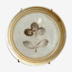 PRODUCT BHV - 6 flat plates Sarreguemines in beige glazed ceramic