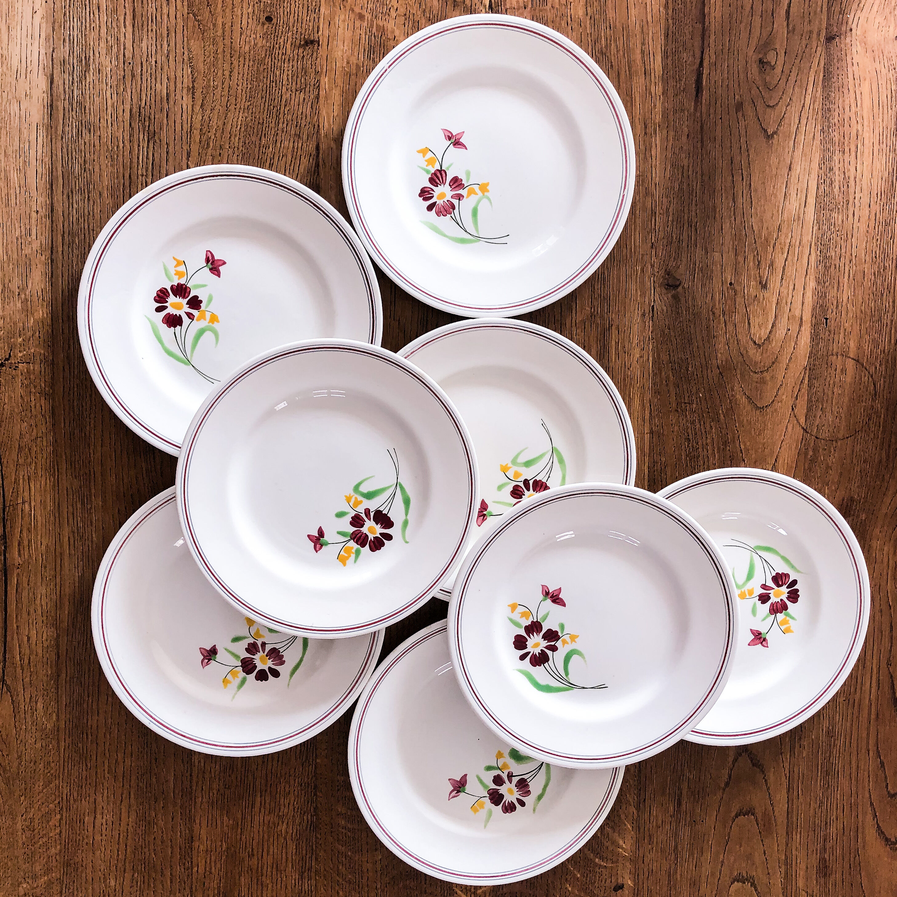 8 plates Salins model Janine