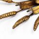 Gold leaf gilded metal wheat sheaf wall light 1950