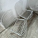 Set of 4 chairs Bertoia for Knoll