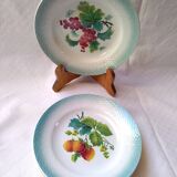 8 plates dabbling 2 decorations, currants, raspberries