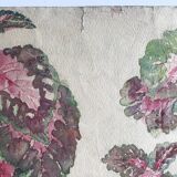 Solenostermon (Coleus Blumei), 1950s. Watercolor on paper