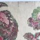 Solenostermon (Coleus Blumei), 1950s. Watercolor on paper
