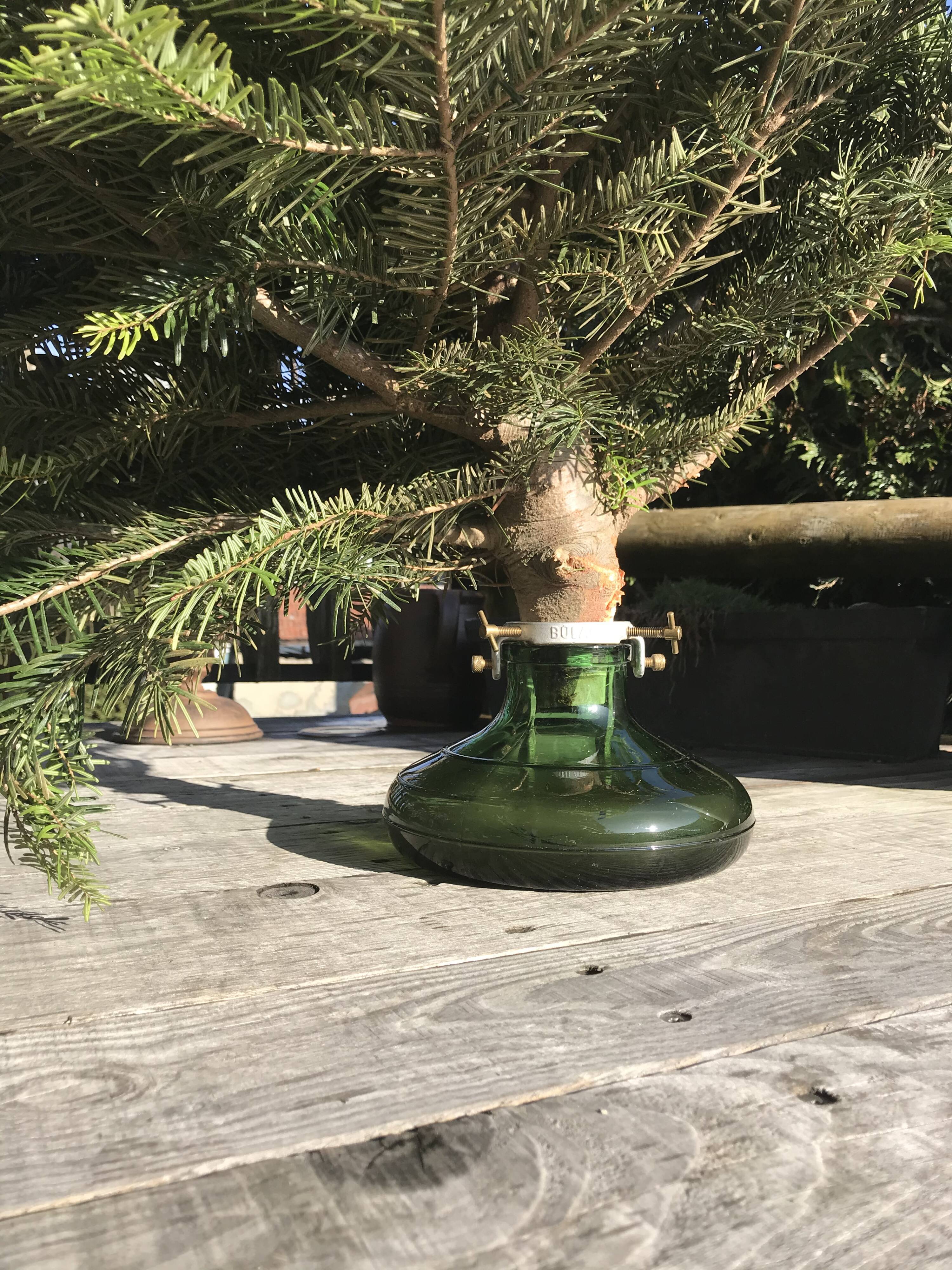 Foot for christmas tree