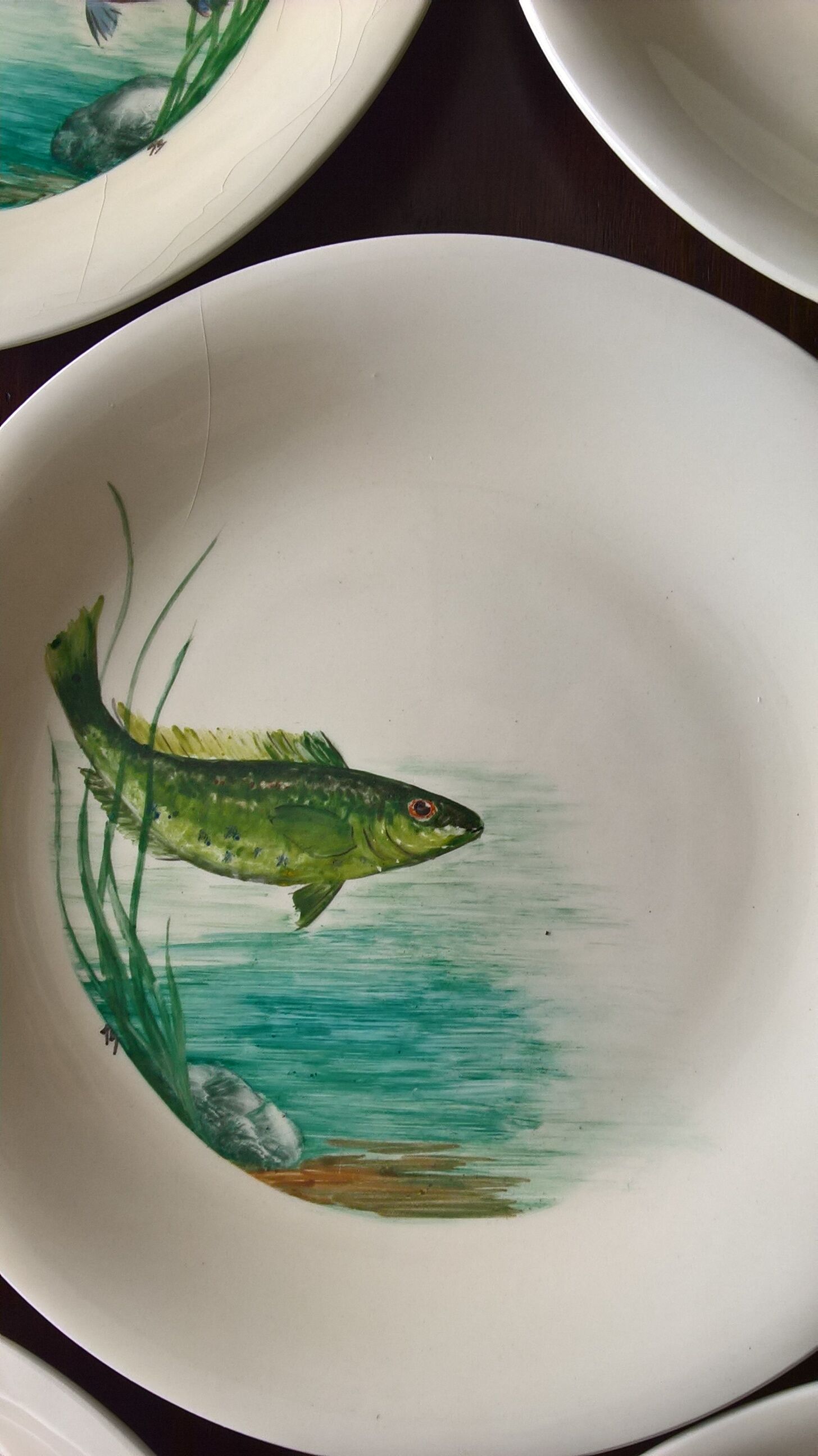 12 fish plates Proceram Cerel Aubagne, 1950s