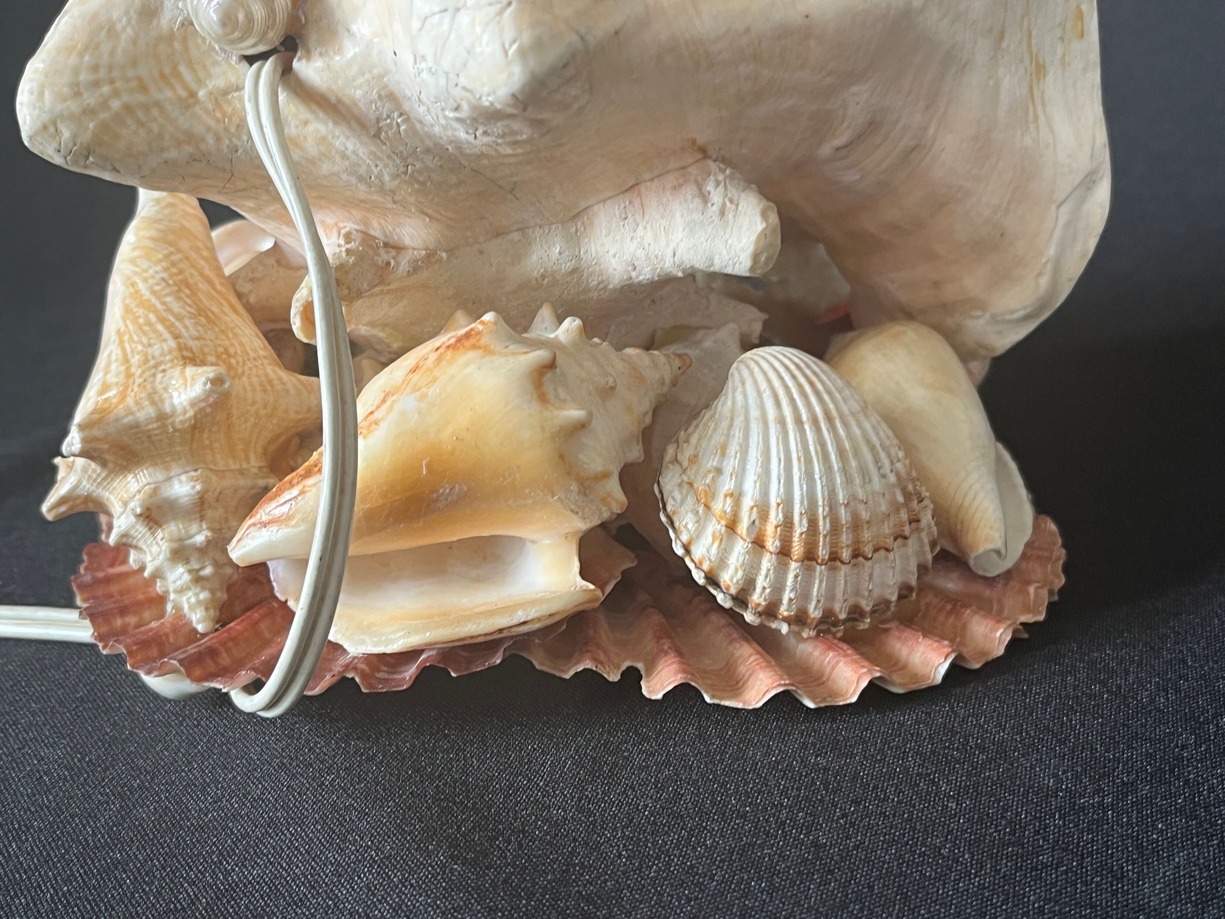 Lamp night light shell conch 1950 cabinet of curiosities seaside