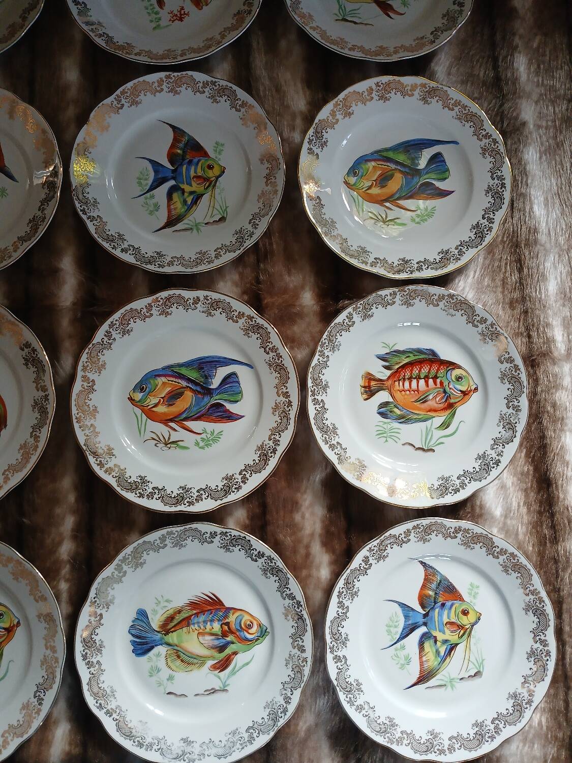 12 antique "Royal" dinner plates + 1 dish