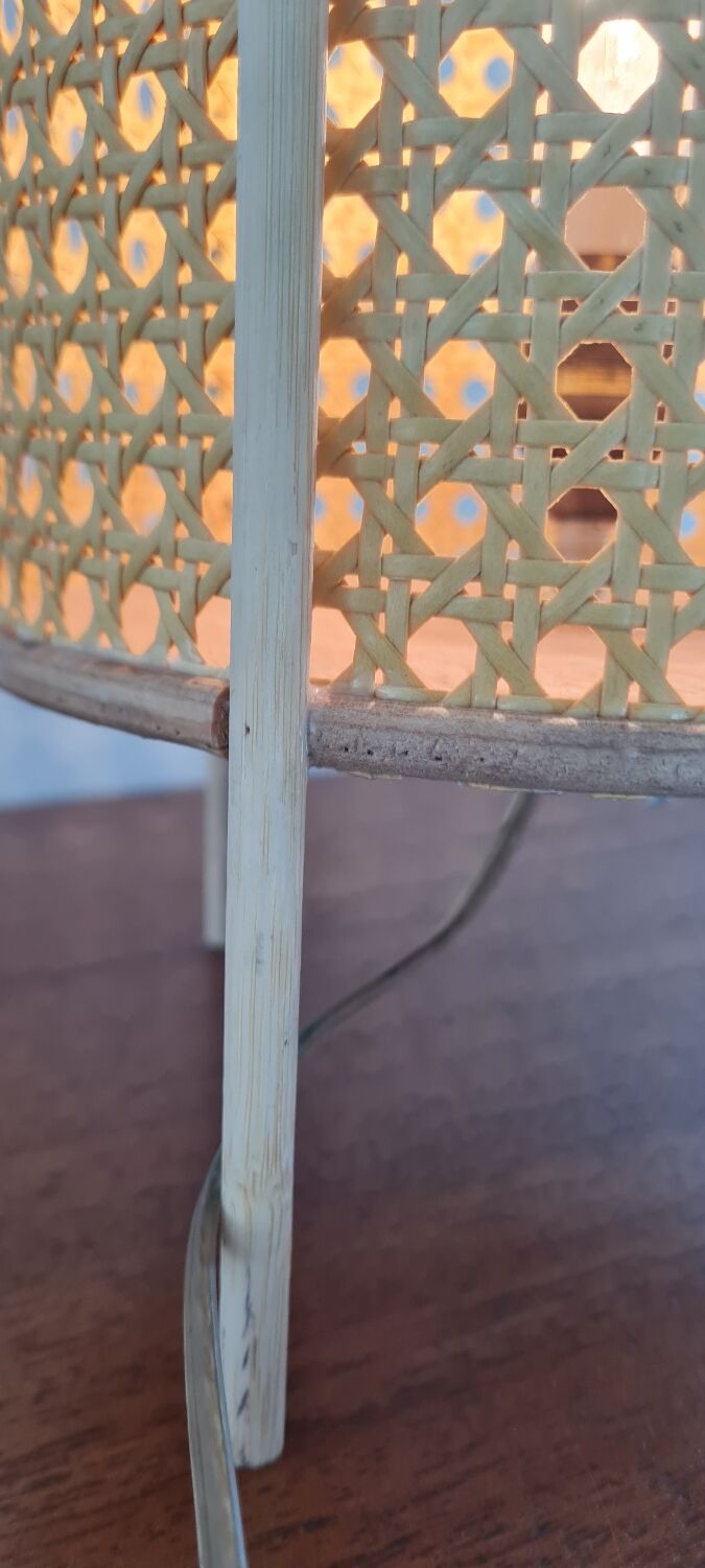 Rattan table lamp and canning