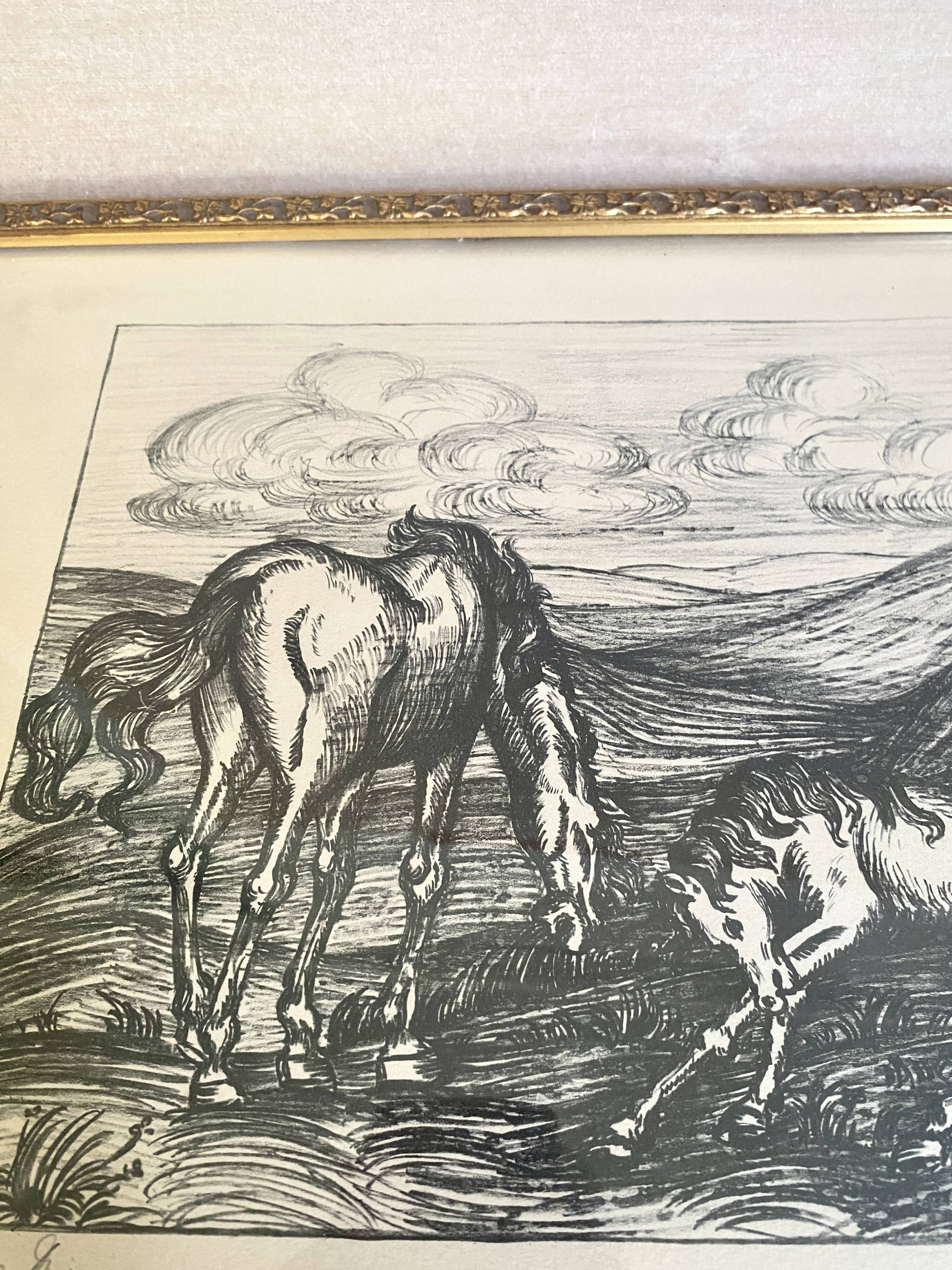 Horse engraving, 1950s, carved wooden frame with glass