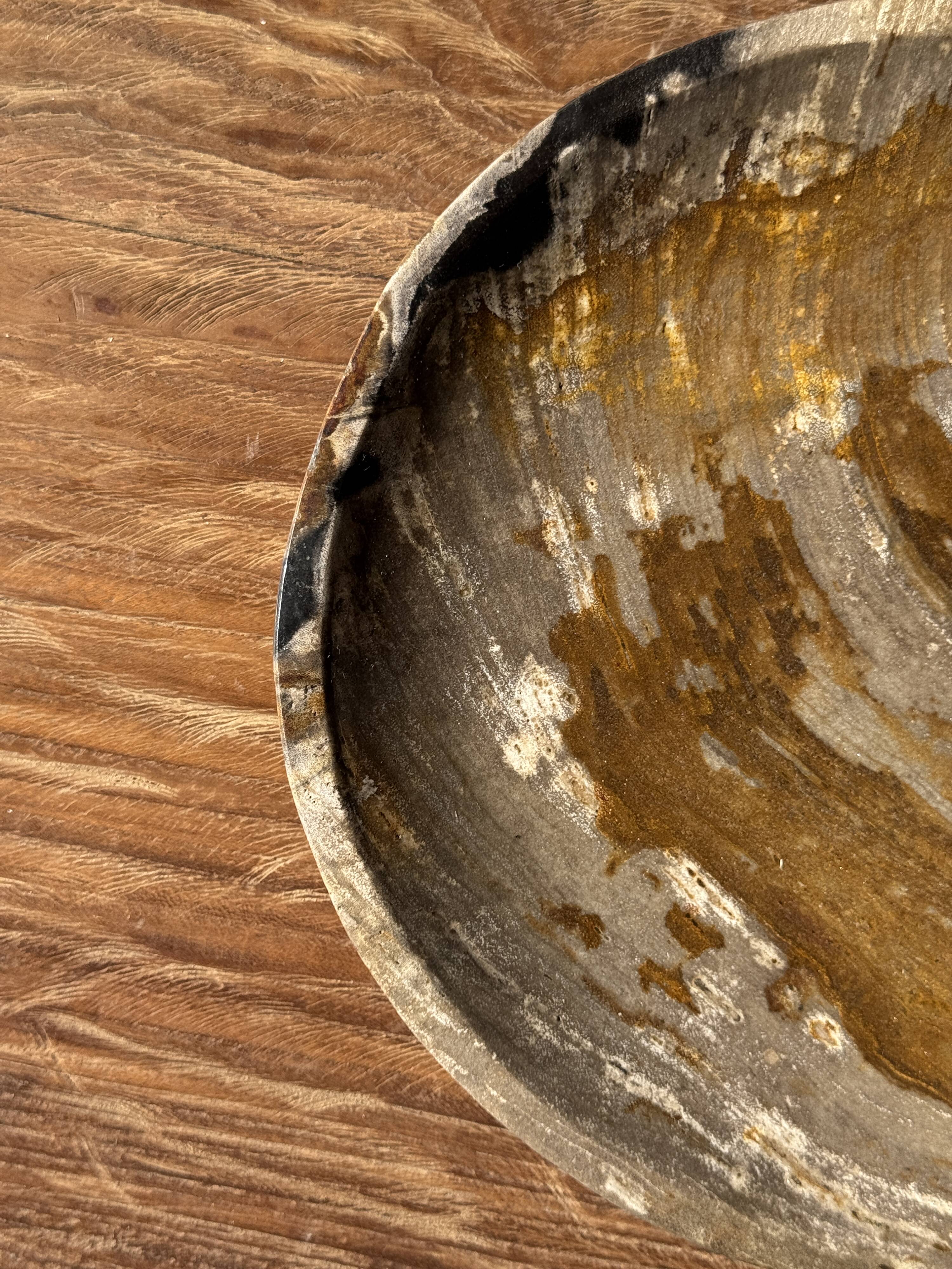 Ashtray, circular dish or plate in grey-orange petrified wood D25.5