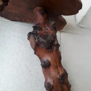 Solid wood stool