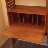 Modular Cabinet Scandinavian Ladderax 1960
