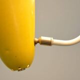 Pendant lamp from the 1950s by h. busquet for hala zeist