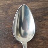 Box of 12 silver metal spoons