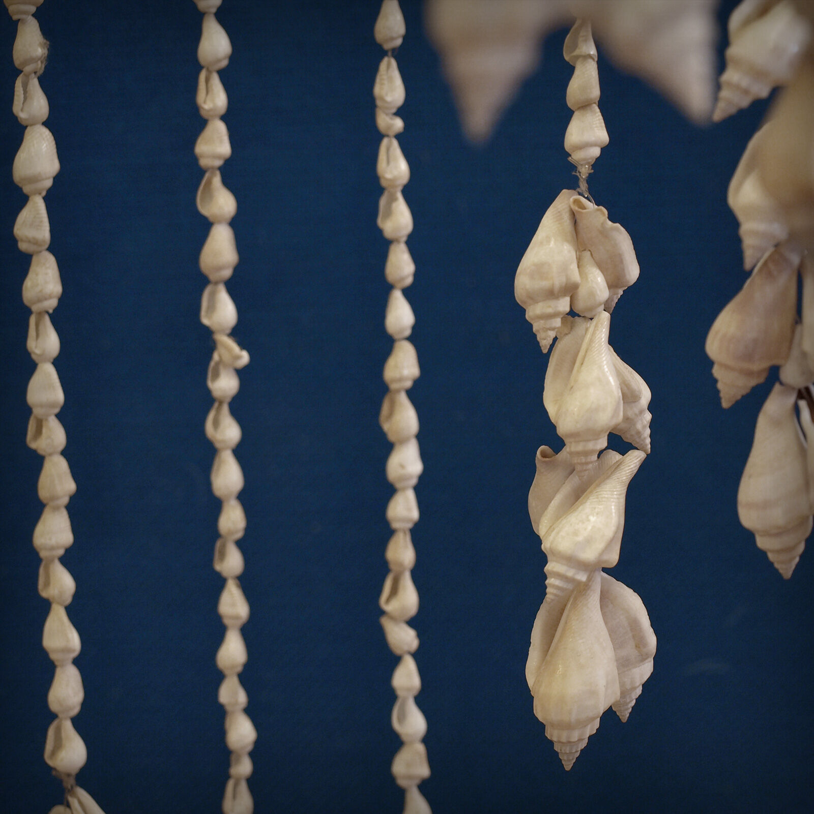 Balinese hanging lamp in curly shells