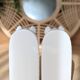 Magnificent pair of vintage ceramic bookends (D-0038)