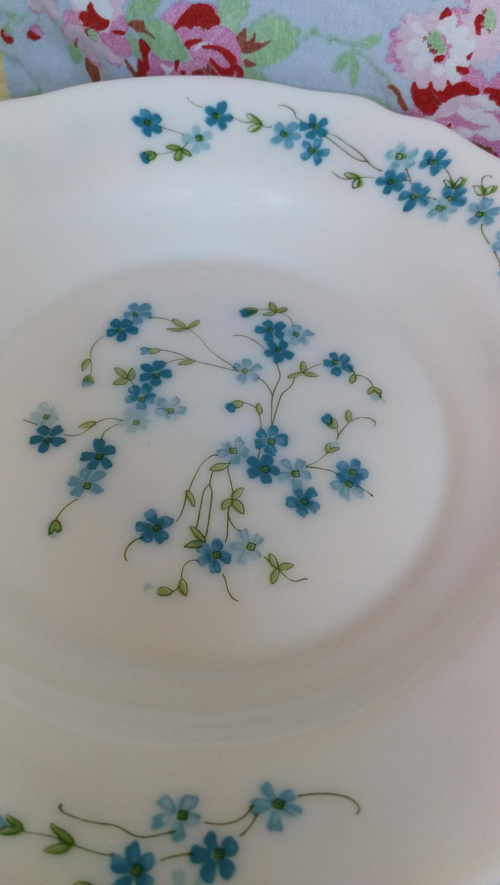 6 arcopal hollow plates veronica myosotis blue flowers 70s