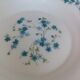 6 arcopal hollow plates veronica myosotis blue flowers 70s