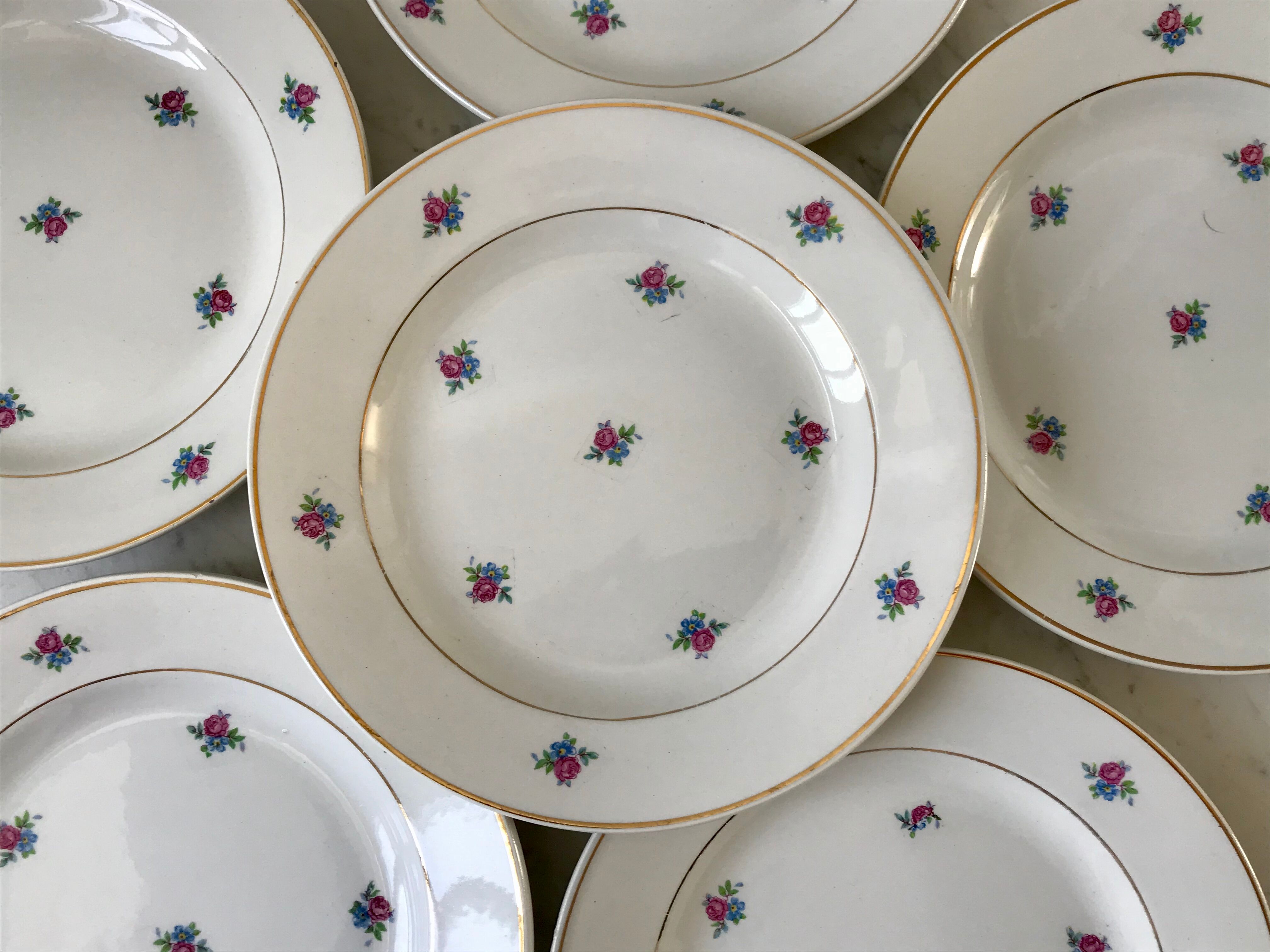 set of 6 dessert plates Digoin Sarreguemines model Floréal years 50-60