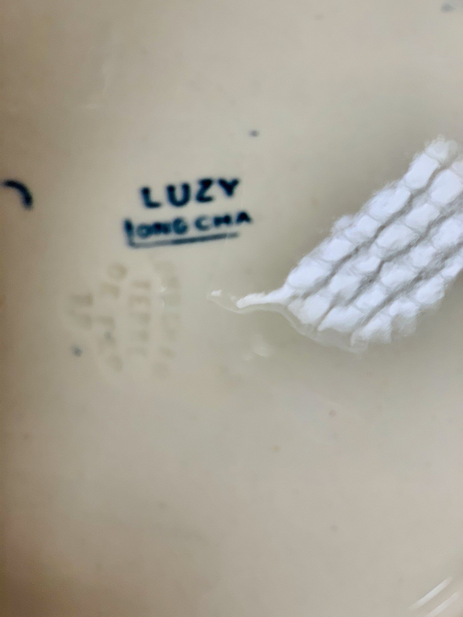 Hollow plate in earthenware iron earth Longchamp service Luzy