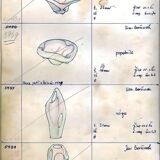 1960s Flower Vase by Jan Beranek – Pattern 5988 (Red Core Series)