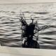 Photo Alice ducheix - Gallery Zones