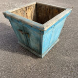 Orange tree tray