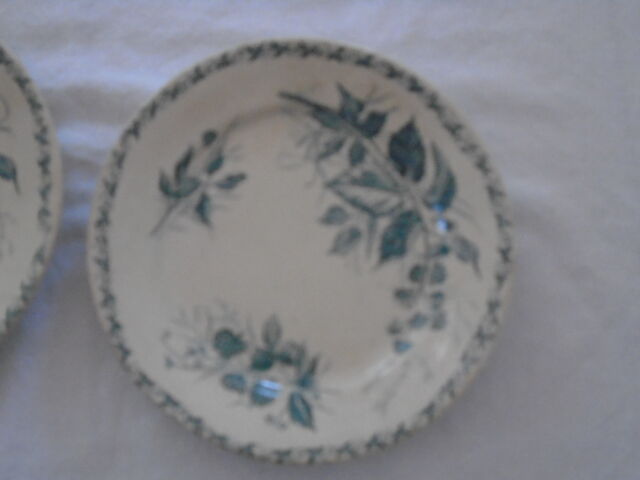 2 Plates faience old Bondonviller decoration MURE wild fruit iron earth diameter 22 cm