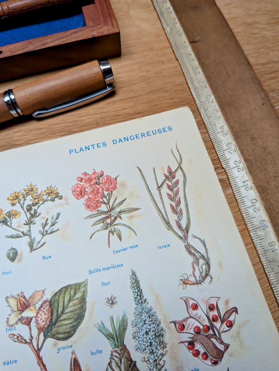 Printed in 1954, Dangerous Plants.