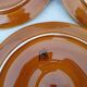 Scallop shell plates St Jacques by SECLA Portugal Barbotine