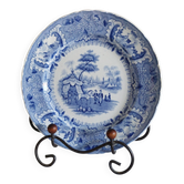 Old flat plate David Johnston