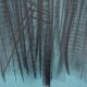 Hans hartung: hope - original lithograph